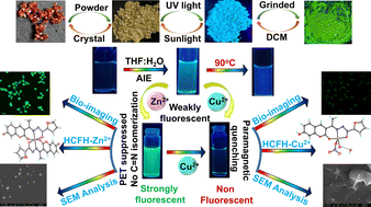 Graphical abstract: A coumarin-derived multi-faceted optical material with molecular logic gate for bioimaging