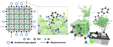 Graphical abstract: Tailored ligand design enabling comprehensive passivation of perovskite nanocrystals for light-emitting diodes