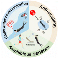 Graphical abstract: Anti-swelling and adhesive hydrogels enable amphibious sensors with long-lasting conductivity, adhesion and robustness