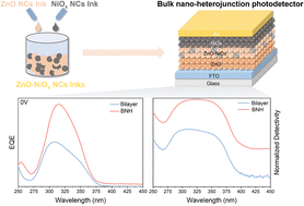 Graphical abstract: Bulk nano-heterojunction strategy enables record charge collection in solution-processed metal oxide UV photodetectors