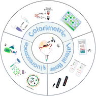 Graphical abstract: Recent advances in the CRISPR/Cas system-based visual detection method