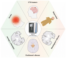 Graphical abstract: New perspective on central nervous system disorders: focus on mass spectrometry imaging