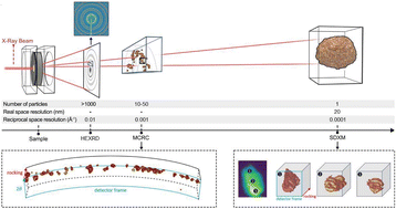 Graphical abstract: An emerging frontier of battery innovation: tackling lattice rotation in single-crystalline cathodes