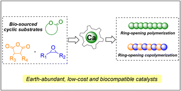 Graphical abstract: Recent progress in calcium-catalyzed polyester synthesis