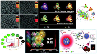 Graphical abstract: Near-infrared luminescent materials: a review of their practical applications and prospective advancements