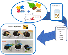 Graphical abstract: Efficiency of lignin nanocapsules for delivering neem oil and capsaicin against pest insects: insights into the system Eruca sativa – Plutella xylostella