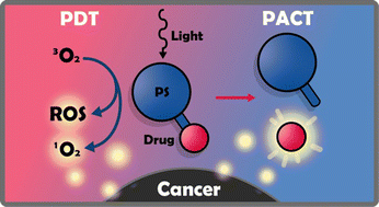 Graphical abstract: Two in one: merging photoactivated chemotherapy and photodynamic therapy to fight cancer