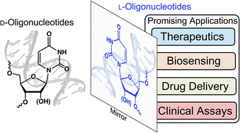 Graphical abstract: The clinical potential of l-oligonucleotides: challenges and opportunities