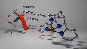 Graphical abstract: Bispidine coordination chemistry