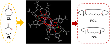 Graphical abstract: Coordination chemistry of the calix[6]arene system: application in polymerisation catalysis and beyond