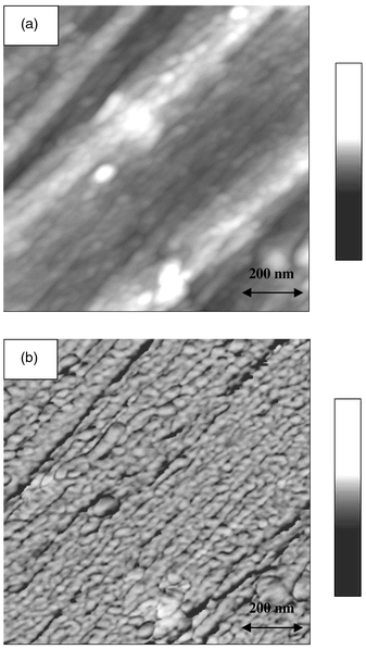 AFM images of PPy/PMMA nanocomposite: (a) height image and (b) phase 
image. The film was fabricated by compression-molding of the PPy/PMMA 
nanocomposite at 220 °C under 25 kN cm−2 for 10 min. 
The images were obtained with Nanoscope IIIa Dimension 3100 SPM (Digital 
Instruments) in tapping mode.