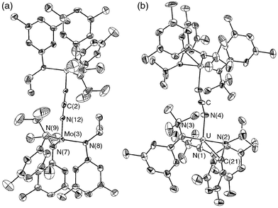 (a) Structural diagram of (μ-NCN)[1]2 with 
thermal ellipsoids at the 35% probability level. Selected distances 
(Å) and angles (°): Mo(3)–N(7) 1.947(6), Mo(3)–N(8) 
1.994(6), Mo(3)–N(9) 1.960(7), Mo(3)–N(12) 1.852(7), 
N(12)–C(2) 1.233(7); Mo(3)–N(12)–N(2) 176.6(4). (b) 
Structural diagram of (μ-NCN)[3]2 with thermal 
ellipsoids at the 35% probability level. Selected distances (Å) and 
angles (°): U–N(4) 2.226(7), U–N(1) 2.219(6), U–N(2) 
2.225(6), U–N(3) 2.291(6), N(4)–C 1.189(8), U–C(21) 
2.787(8); C–N(4)–U 162.6(5).