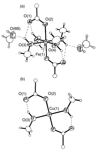 
          Coordination spheres of (a) 
[Fe(BmtCO2)2(MeOH)4]·4MeOH (showing 
two of the MeOH solvent molecules; the other two are highly disordered) and 
(b) [Cu(BmtCO2)2(MeOH)2], with hydrogen 
bonding interactions indicated by dashed lines. Relevant interatomic 
distances (Å): (a) O(1)⋯O(4a) 2.582(3), O(1)⋯O(3) 
3.199(3), O(3)⋯O(6b) 2.718(7), (b) O(1)⋯O(3) 2.511(3) 
Å.
        