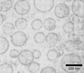 
          Cryo-transmission electron micrograph of poly(acrylic acid) hollow 
spheres in an aqueous phosphate buffer at pH = 7.
        