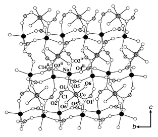 View of 2 along the crystallographic a-axis. Solid and 
cross-shaded circles are Na and Co, and open and shaded circles are O and C 
atoms, respectively. Selected bond lengths (Å) and angles (°): 
Na–Co 3.397(2), Co–O(1) 2.042(3), Co–O(6) 2.044(3), 
Co–O5 2.210(3), Na–O(1) 2.530(4), Na–O(5) 
2.509(3), Na–O(2)iv 2.487(4), Na–O(4)iii 
2.271(4), Na–O(3)ii 2.238(5); 
Na–Co–Nai 180, Na–O(5)–Co 91.88(11), 
Na–O(1)–Co 95.36(14). Symmetry codes: i −x + 
1/2, −y + 1/2, −z−1; ii −x, 
y, −z + 1/2; iii: −x, y + 1, 
−z + 1/2; iv: x, −y, z
− 1/2.