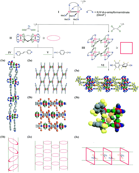 
          Synthesis of compounds 
1·3CH2Cl2·0.5Et2O, 
2·4CH2Cl2 and 
3·12.36CH2Cl2. Views of the extended 
structures are given in the middle section as follows: (1a) structure of 
1; (2a) structure of 2; (2b) intercalating architecture 
in 2; (3a) structure of 3 and (3b) a space filling 
drawing of 3 showing CH2Cl2 molecules inside 
the square tube. A schematic view of the corresponding structure is shown 
in the lower section. In the top section, there are axial CH3CN 
molecules (not shown for clarity) at each Rh atom in I and 
III. For II, there are two CH3CN molecules 
distributed on the four Rh atoms. The p-anisyl or DAniF groups 
have also been omitted for clarity. Color labels: Rh, red; N, blue; O, 
green; C, gray; F, yellow; Cl, orange; H, turquoise.
        