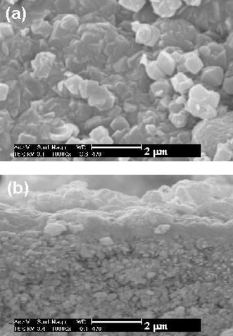 
          SEM images of the zeolite Y membrane on a TRUMEM support obtained 
sequentially after synthesis with G1 and G2 synthesis mixtures: (a) top 
view, (b) cross-section.
        