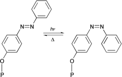 
          Reversible E/Z isomerization in 3 (P = porphyrin).
        