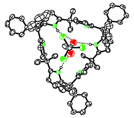 The molecular structure of the complex between 2,2,2-trichloroethanol 
and calix[6]pyrrole 2. Solvent and other molecules not situated in 
the cavity of the host have been omitted for clarity.