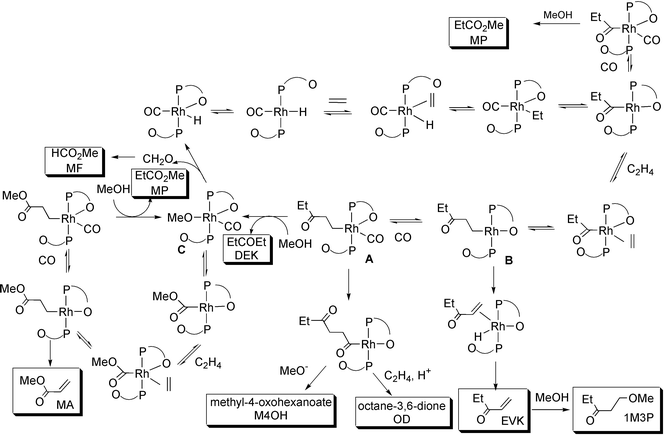 
          Proposed mechanism of ethene carbonylation catalysed by 
Rh/β-ketophosphine (PO) complexes. The products shown in boxes 
have been observed (Table 1), but the 
assignments of the metal containing intermediates are tentative.
        