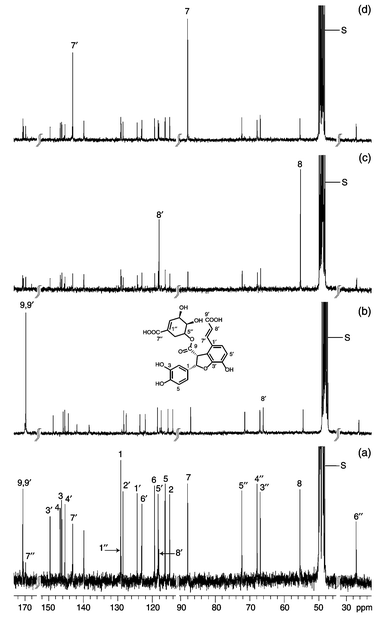 13C-NMR spectra of (a) natural abundance (−)-brainic 
2 acid, as well as (−)-brainic acids 2 obtained 
following administration of (b) [1-13C], (c) [2-13C] 
and (d) [3-13C]phenylalanine 6 (1 mM) to B. 
spicant fronds for 5 days; all spectra were recorded under identical 
conditions.