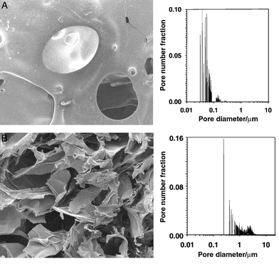 Controlling PLA pore structure. A, ‘slow’ depressurisation 
over a 2 h period. B, ‘fast’ depressurisation over a 2 min 
period.