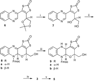 
          
            Reagents and conditions: i, 
TsOH·H2O, MeOH, reflux (92%); ii, Fmoc-Cl, 
1,4-dioxane, 35 °C, 14 h (92%); iii, NaB(CN)H3, AcOH, 
CH2Cl2, MeOH, rt (92%); iv, 9a, 
Et2NH, THF, rt (80%); v, CsOH, CHCl3, MeOH, rt then 
Cp(Co)I2 (55%).
        