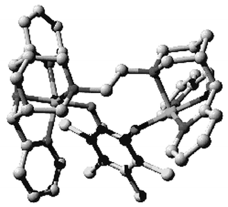 
          Molecular model of 
[Cu2(L2)(tcc)]2+.
        