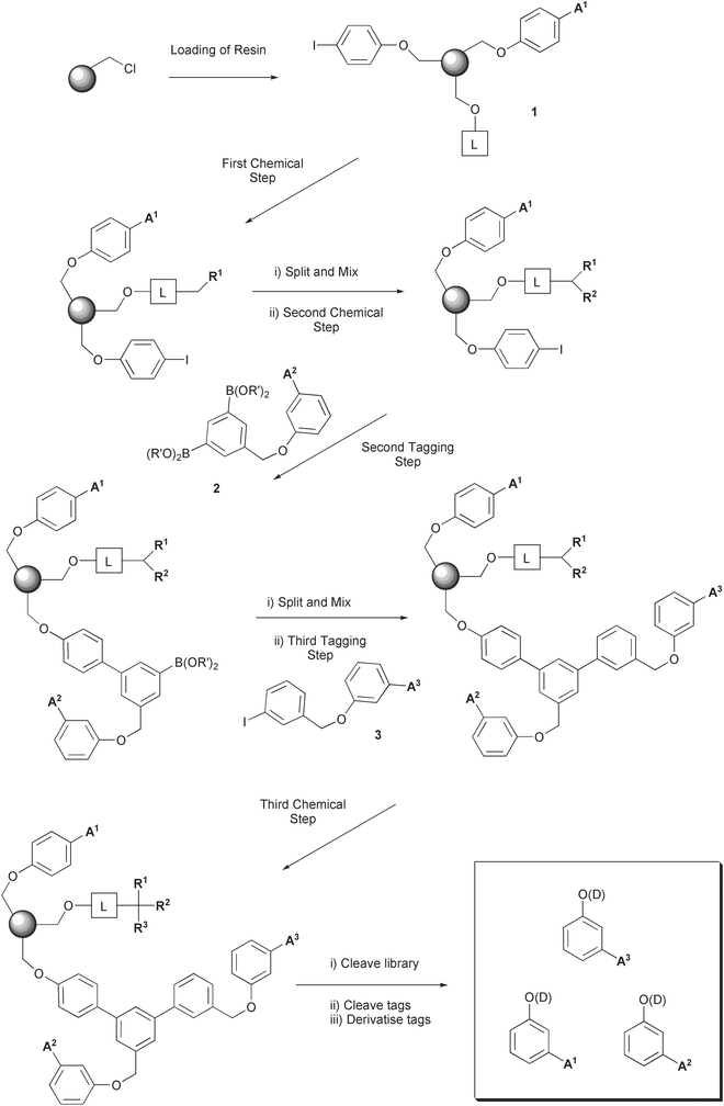 Outline of the tagging strategy. L = Wang linker (4-hydroxybenzyl alcohol), A = alkyl group, R = library element, D = tag derivative.