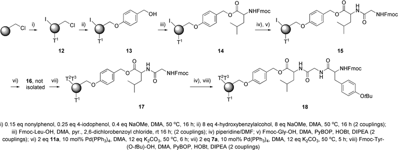 Solid phase synthesis of encoded tripeptide.