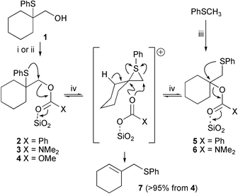 
          Reagents and conditions: i, PhCOCl, pyridine, 88%; ii, NaH, DMF; Me2NCOCl or MeOCOCl, (3) 91%; (4) 78%; iii, n-BuLi, DABCO, THF; cyclohexanone; then PhCOCl or Me2NCOCl, (5) 5%; (6) 4%; iv, SiO2, CHCl3, Δ, see Table 1.