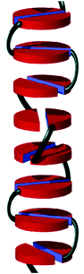 Proposed mode of aggregation of molecules 14 in helical columns.