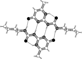 Crystal structure of 20a, in which the molecules are dimerized via DDAA arrays of hydrogen bonding sites.