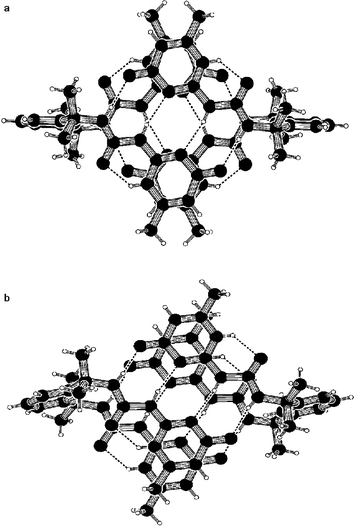 Anti-[1H]–[1H] (a), and syn-[1H]–[1H] (b) forms of dimers of 33 found in different crystal modifications.