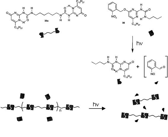 Photodeproctection of 36, leading to a decrease in the average DP of a solution of 35a.