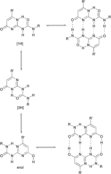 Equilibria between monomers and dimers of the three tautomeric forms of ureidopyrimidinones (UPy’s).