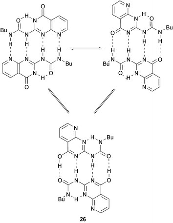 Equilibria of 26, which forms dimers regardless of tautomeric form.