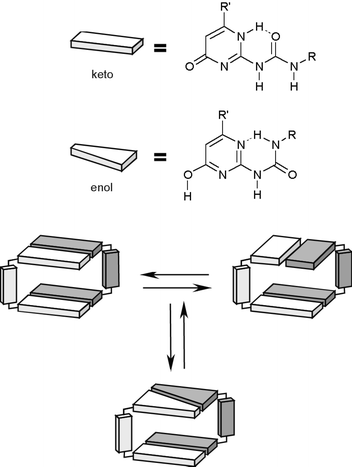 Equilibrium between isomers of dimeric 33.