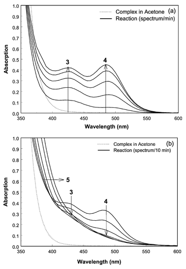 Time resolved UV-Vis spectra of the allylic amination reaction of the (dppe)Pd(C5H9)OTf complex in acetone (dotted line, t = 0 s) with piperidine. (a) One spectrum every 1 min (solid lines). (b) One spectrum every 10 min (solid lines).