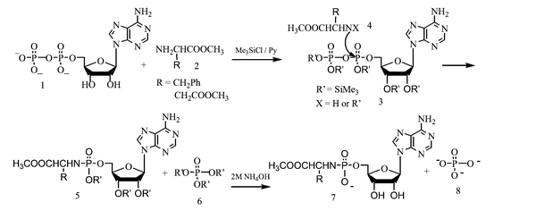 Reaction mechanism of ADP with amino acid methyl ester hydrochlorides mediated by trimethylsilyl chloride.