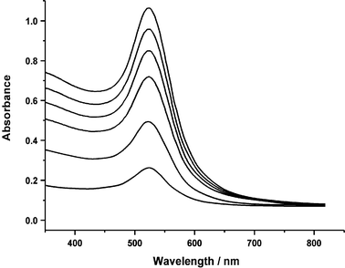 Decrease in absorbance of conjugate solution as the amount of antibodies bound to paramagnetic beads was increased.