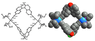 (Left) ORTEP view of metallacyclophane 3. Key bond distances (Å): Pt1–C22 1.983(8), Pt1–C46 2.016(9), Pt1–P1 2.306(2), Pt1–P2 2.310(2), Pt2–C24 1.989(9), Pt2–C48 1.999(8), Pt2–P4 2.314(2), Pt2–P3 2.316(2). (Right) A space-filling model of 3.