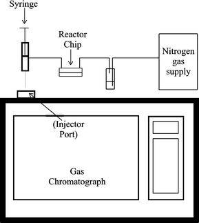 Schematic diagram of the apparatus.