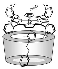 The possible dominant αααβ structure of the dioxygenated 1c(αCD-MPIm) ensemble.