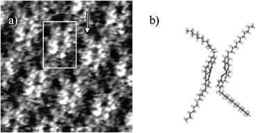 (a) 6 nm × 6 nm STM image of [Ni(C12-salen)] and (b) proposed structure of the dimer in the inlet of (a). Applied bias voltage: −900 mV, current: 300 pA.