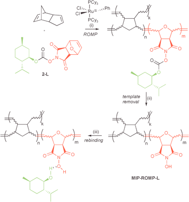 Synthesis of MIP-ROMP-L. (i) 5 mol% 2-L, 95 mol% dicyclopentadiene, 0.1 mol% Grubbs’ catalyst, DCM∶2-propanol, 80 °C, 36 h, 99%, (ii) 10 mol eq. NEt3, 10 mol eq. n-hexylamine, dioxane, rt, 12 h, 93%, (iii) for details see Table 1.