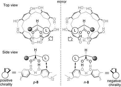 Schematic representation of chiral induction in 1 (gray drawing) upon complexation with S- and R-2-phenylbutyric acids (black drawing), in which L and S stand for the larger (phenyl) and smaller (ethyl) substituents.