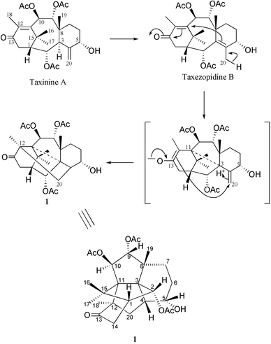 Proposed mechanism for the formation of 1.