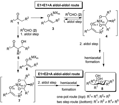 General concept for the synthesis of tetrahydropyran-2,4-diols by two successive aldol reaction steps (E1 and E2 denote the nucleophilic enolates, A the aldehyde component).