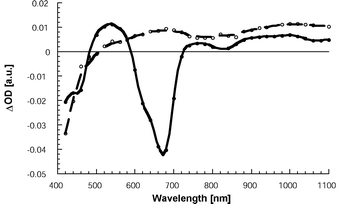 Transient absorption changes recorded 50 ns upon 337 nm laser excitation of 6 (full line) and 1 (dashed line) in oxygen-free dichloromethane (2.0 × 10−5 M).